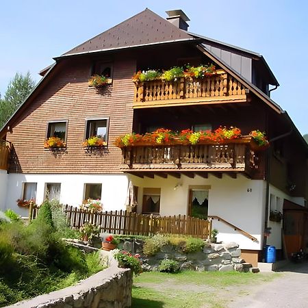 Haus Maria Apartment Todtnau Exterior photo