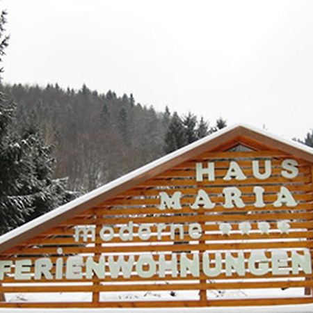 Haus Maria Apartment Todtnau Exterior photo