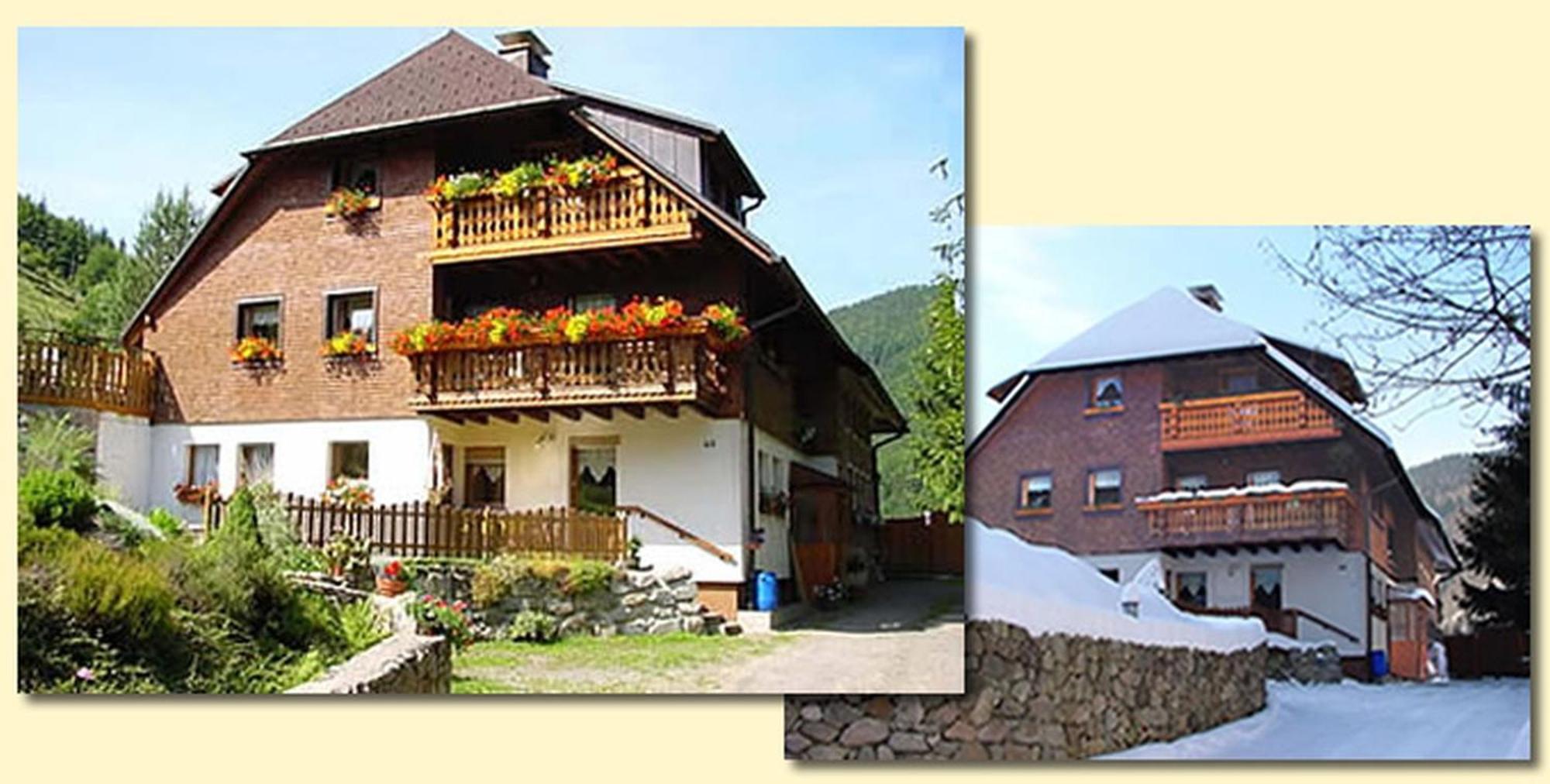 Haus Maria Apartment Todtnau Exterior photo