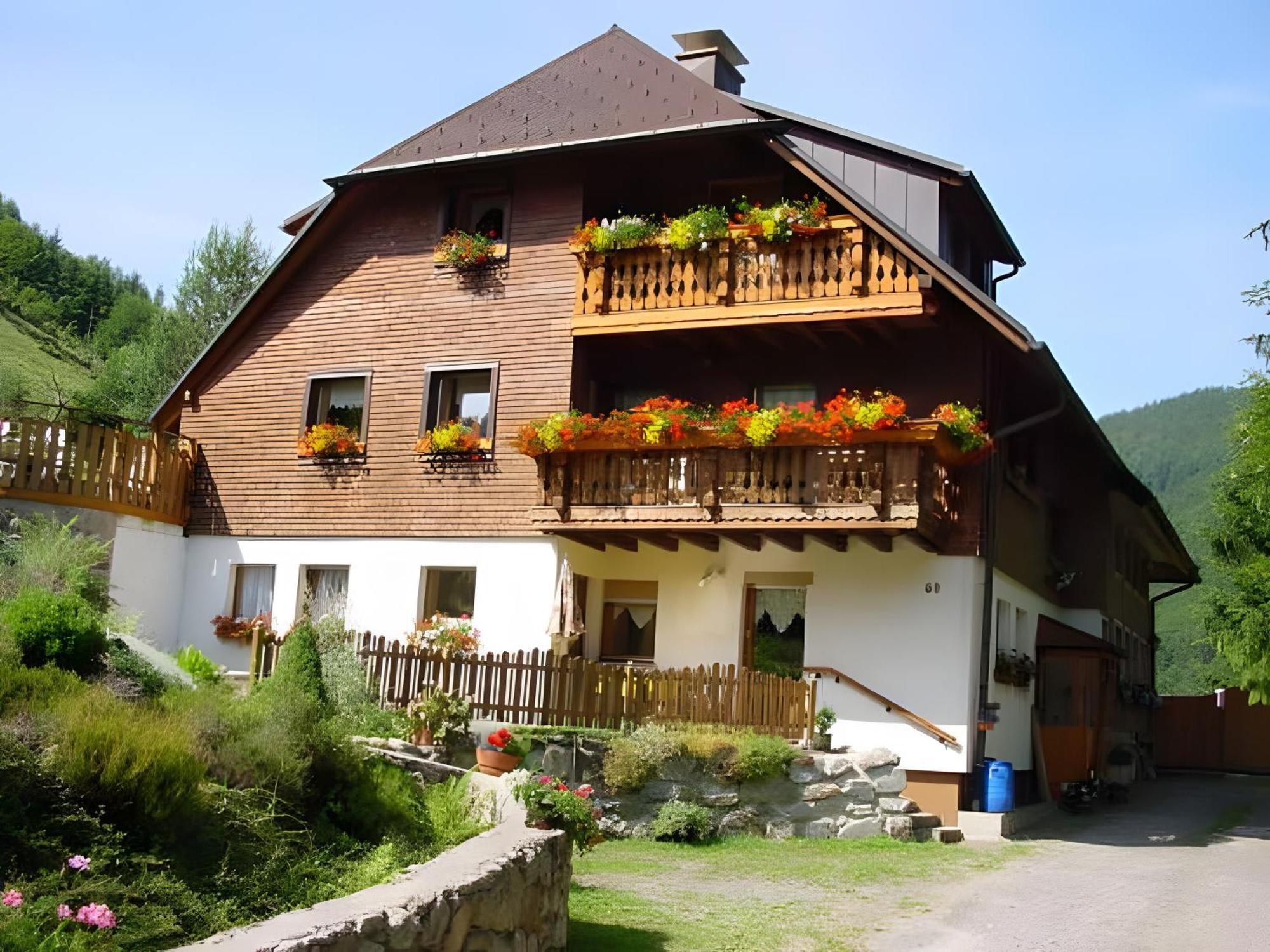 Haus Maria Apartment Todtnau Exterior photo