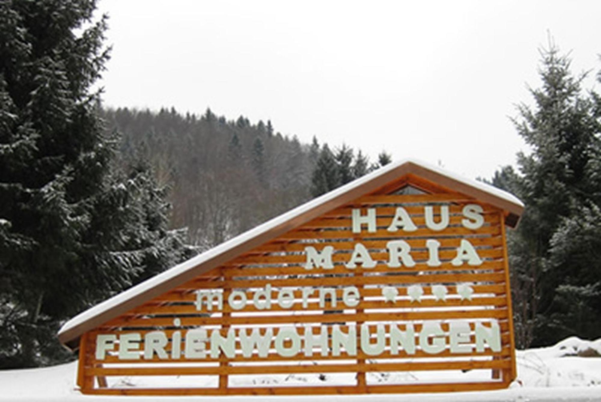Haus Maria Apartment Todtnau Exterior photo