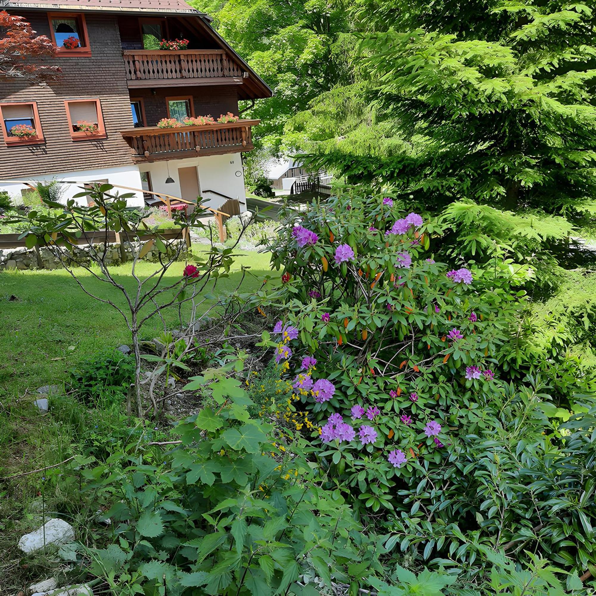 Haus Maria Apartment Todtnau Exterior photo